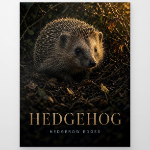 Egel heggenrand randen natuur dier briefkaart