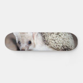 Egel - Het Spiny Mammal Skateboard (Horizontaal)