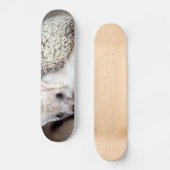 Egel - Het Spiny Mammal Skateboard (Voorkant)