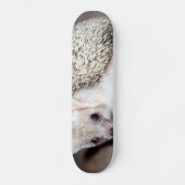 Egel - Het Spiny Mammal Skateboard (Voorkant)