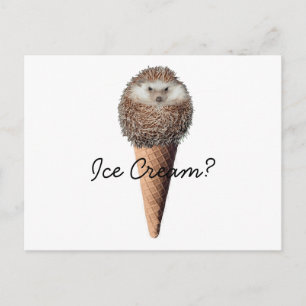 Egel Ice Cream Briefkaart