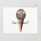 Egel Ice Cream Briefkaart (Voorkant)