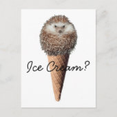 Egel Ice Cream Briefkaart (Voorkant)