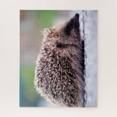 Egel in de natuur, legpuzzel (Verticaal)