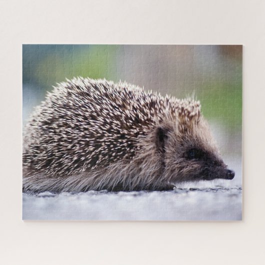 Egel in de natuur, legpuzzel (Horizontaal)