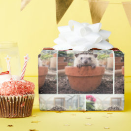 Egel in een Aarden Bloempot Cadeaupapier