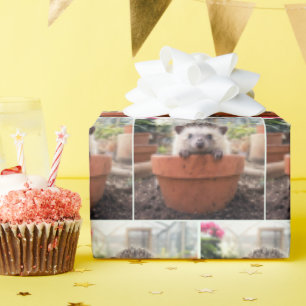Egel in een Aarden Bloempot Cadeaupapier