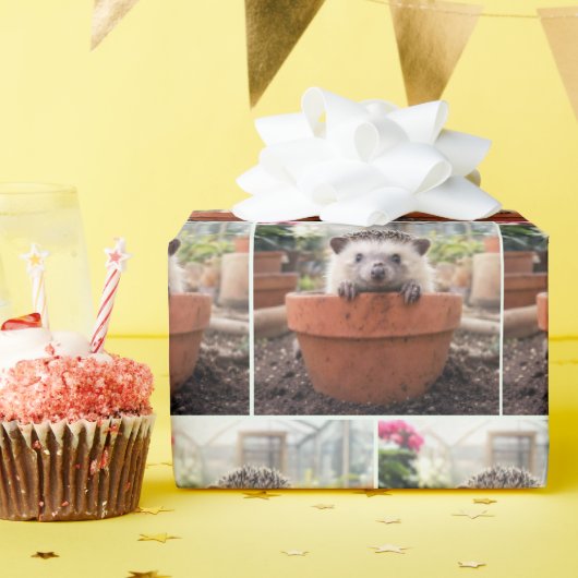 Egel in een Aarden Bloempot Cadeaupapier (Verjaardagsfeest)