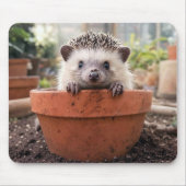 Egel in een Aarden Bloempot Muismat (Voorkant)