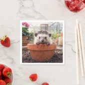 Egel in een Aarden Bloempot Servet (Insitu)
