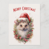Egel in een Santa Hat Red Poinsettia Kerstmis Briefkaart (Voorkant)