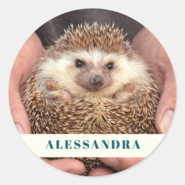 Egel in handen Foto Ronde Sticker