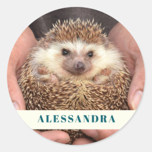 Egel in handen Foto Ronde Sticker