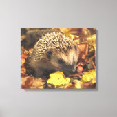 Egel in het najaar canvas afdruk (Voorkant)