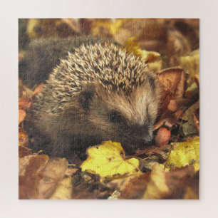 Egel in het najaar legpuzzel