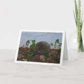 Egel in Tuin Portret Kaart (Voorkant)