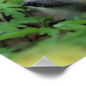 Egel in Woodland Flowers Poster (Hoek)