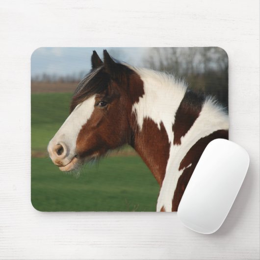 Egel js Maj Muismat (Met muis)