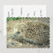 Egel Kaart (Voorkant / Achterkant)