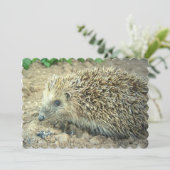 Egel Kaart (Staand voorkant)