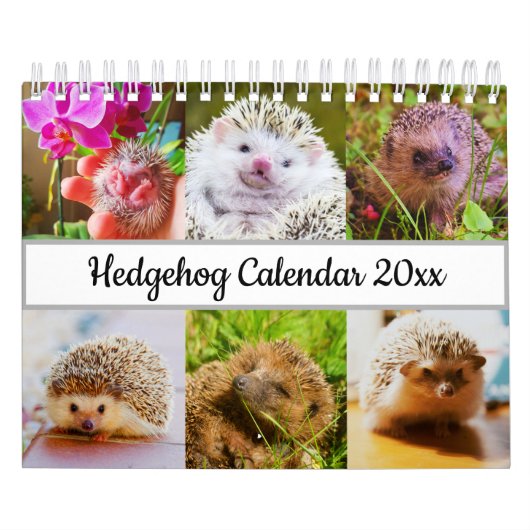 Egel Kalender (Hoes)