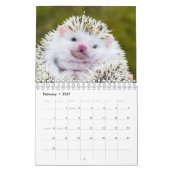 Egel Kalender (Feb 2027)