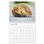 Egel Kalender (Mar 2027)