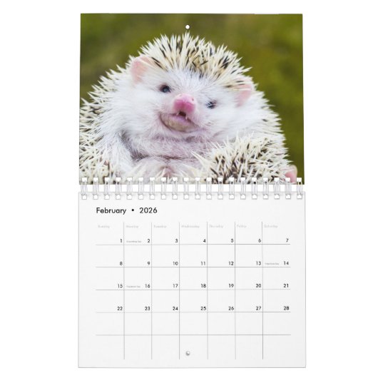 Egel Kalender (Feb 2026)