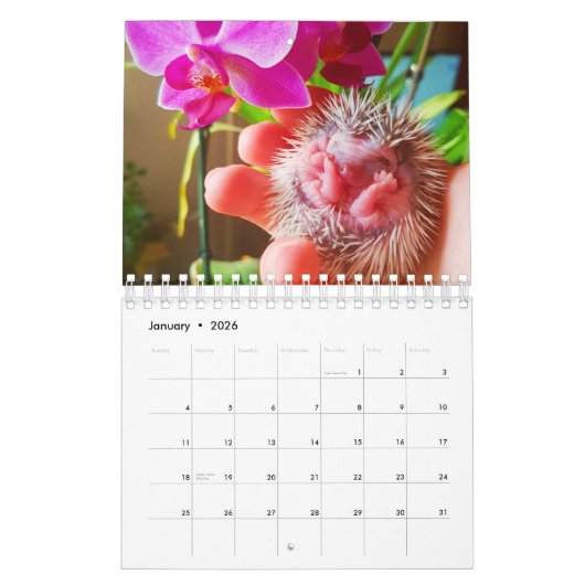 Egel Kalender (Jan 2026)