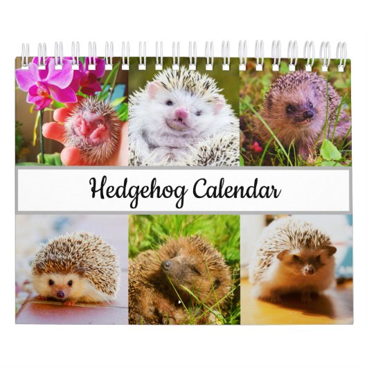 Egel Kalender (Hoes)