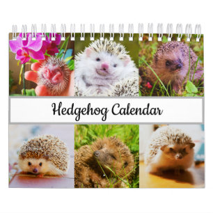 Egel Kalender