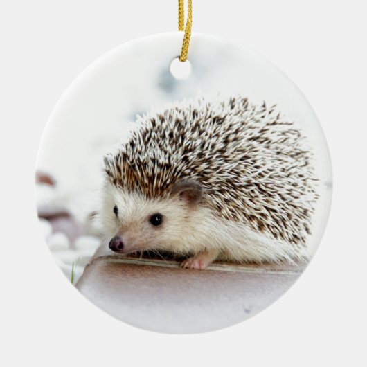 Egel Keramisch Ornament (Voorkant)