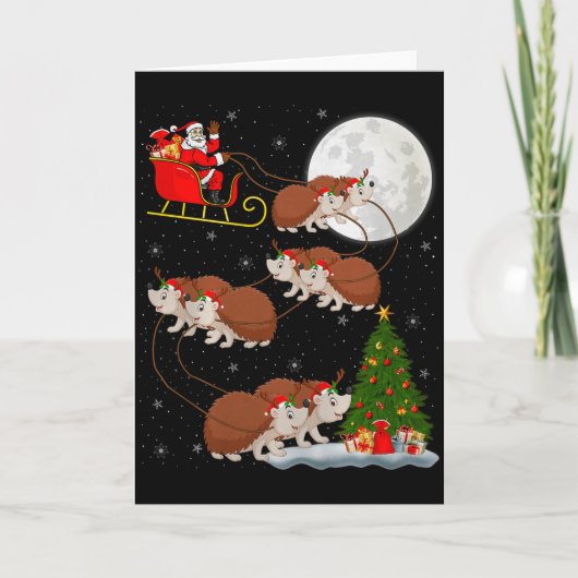 Egel Kerstman slee vliegend grappig magisch Kerstm Kaart (Voorkant)