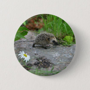 Egel-knop - aanpasbaar ronde button 5,7 cm