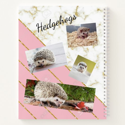 Egel-laptop Notitieboek (Achterkant)