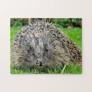 Egel legpuzzel