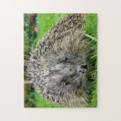 Egel Legpuzzel (Verticaal)