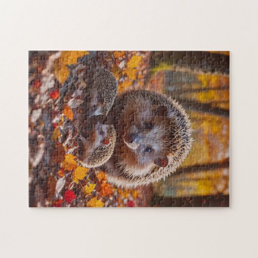 Egel Legpuzzel (Horizontaal)