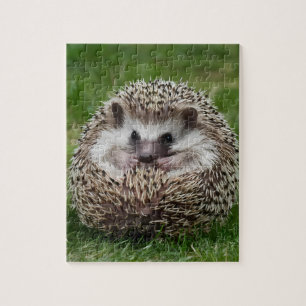 Egel Legpuzzel