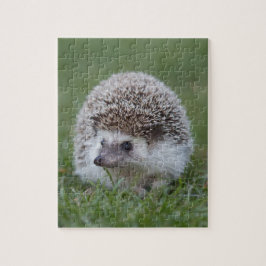 Egel Legpuzzel