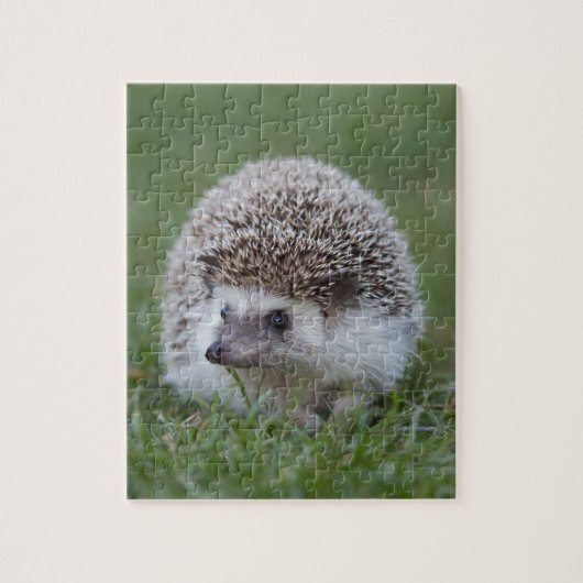 Egel Legpuzzel (Verticaal)