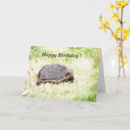 Egel Liefde Kaart