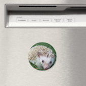 Egel Magneet (Insitu (Vaatwasser))