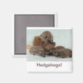 Egel Magneet (Voorkant / Achterkant)