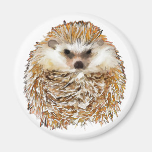 Egel magnet