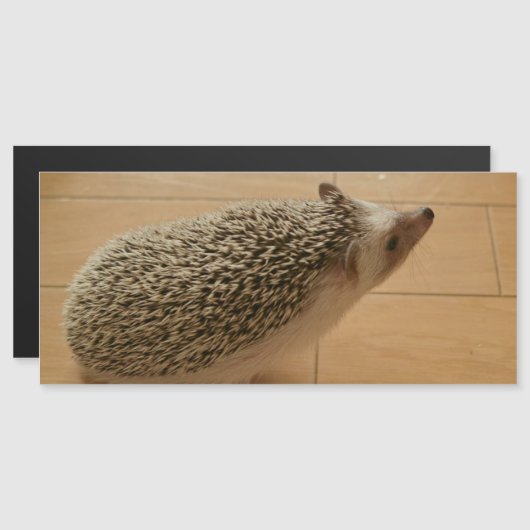 egel-magnetische Kaart (Voorkant / Achterkant)