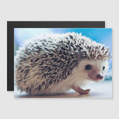 egel-magnetische Kaart (Voorkant / Achterkant)