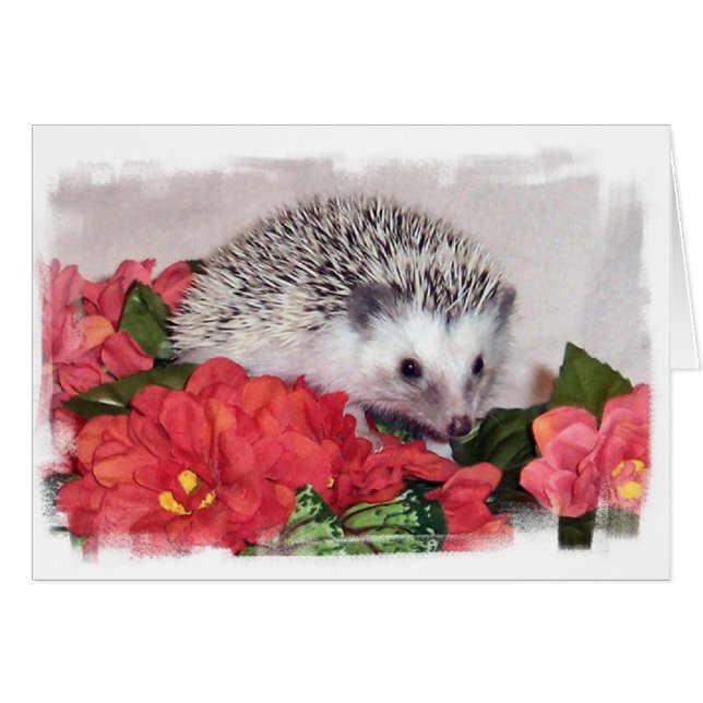 Egel met Oranje bloemen (Voorkant Horizontaal)