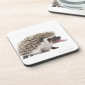 Egel met vier zijden - Atelerix albiventris Onderzetter (Linkerzijde)