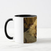 egel-mok mok (Links)